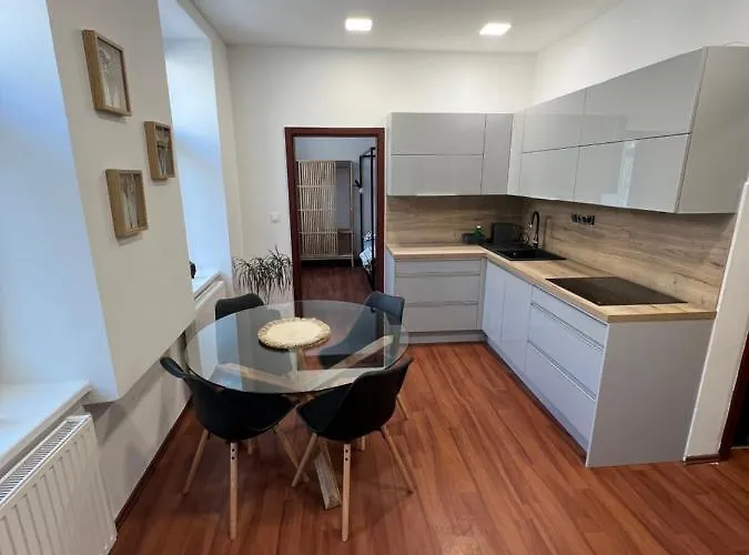 Apartment Susilova 14 I